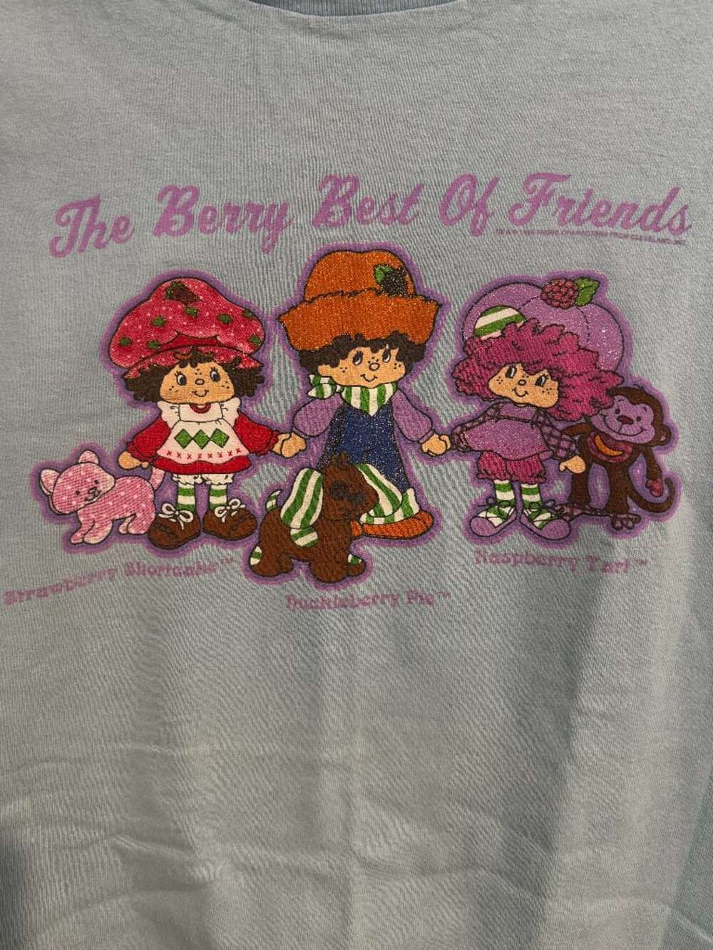 Vintage Strawberry Shortcake & Friends Baby Tee Size XL